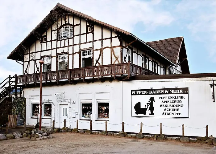 فندق Schweizerhaus 2*